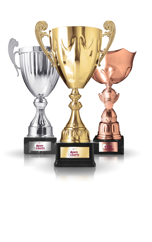 Trophies for winner  across categories